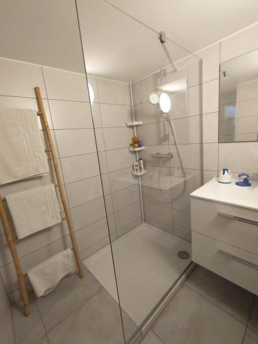 une douche avec une porte vitrée dans une salle de bain dans l'établissement Studio 40 m2 avec sauna proche de Strasbourg, à Mittelhausbergen