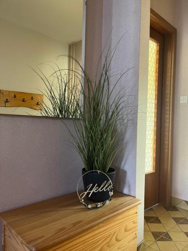 Φωτογραφία από το άλμπουμ του Apartma Špan σε Zgornje Gorje