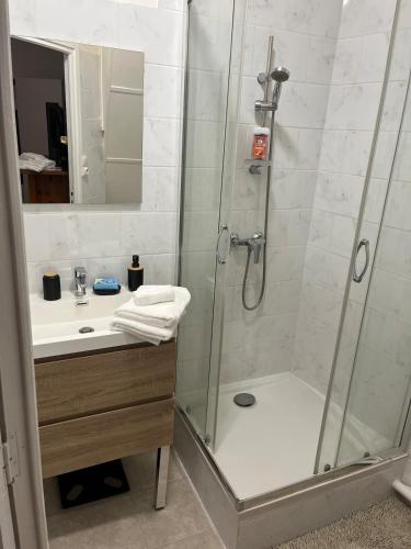une salle de bain avec douche et lavabo dans l'établissement Saint-Gilles Appartement, à Saint-Gilles