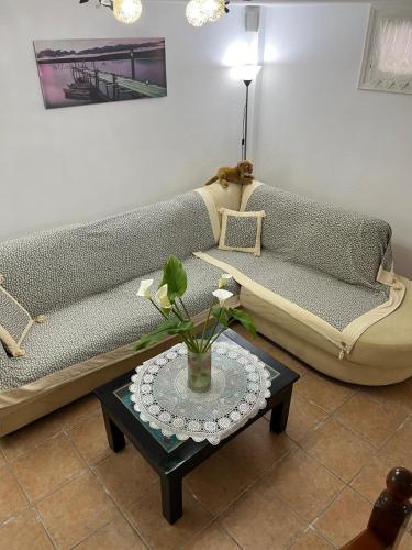 Posezení v ubytování SA nest