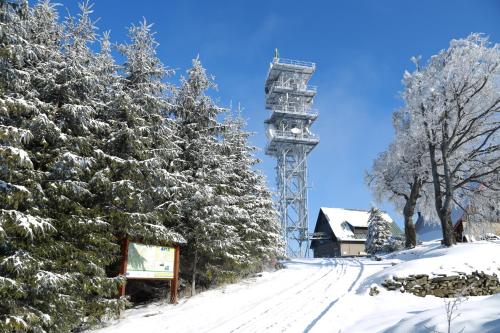 pokryte śniegiem drzewa z wyciągiem narciarskim w tle w obiekcie Chata Javorový Vrch w mieście Tyra