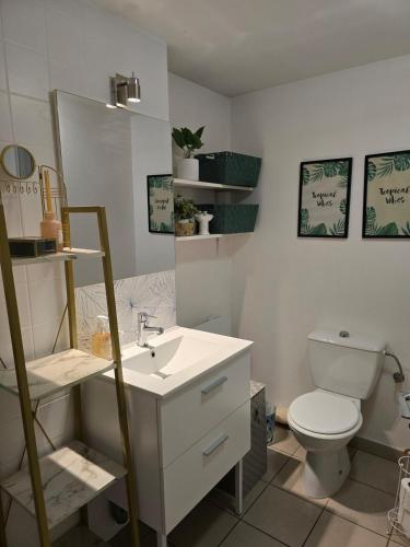 La salle de bains est pourvue d'un lavabo, de toilettes et d'étagères. dans l'établissement Montbel'appart - Le Charmant T1, à Montbéliard