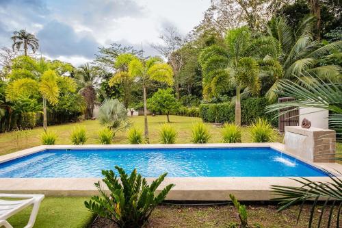 a swimming pool in a garden with palm trees at Relax in Paradise - Villa Infiniti in Talamanca