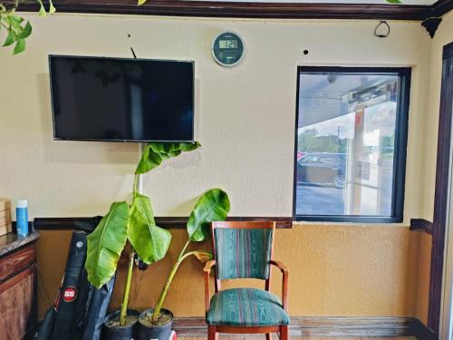 a room with a chair and a flat screen tv at Budget Inn By OYO Edinburg Hwy 281 in Edinburg