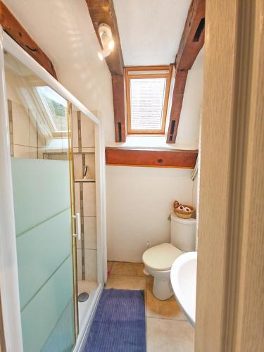 une petite salle de bain avec toilettes et lavabo dans l'établissement 140m2 du XVIIe, plein centre & extérieur, 6-9 pers, à Bergerac