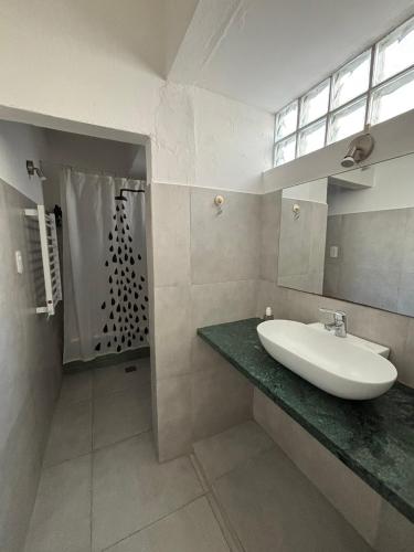 a bathroom with a sink and a shower at Barcelona, grande y luminosa in Estación M.B Gonnet