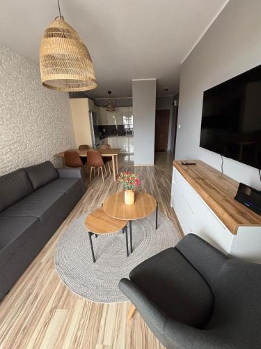 Μια τηλεόραση ή/και κέντρο ψυχαγωγίας στο Apartament