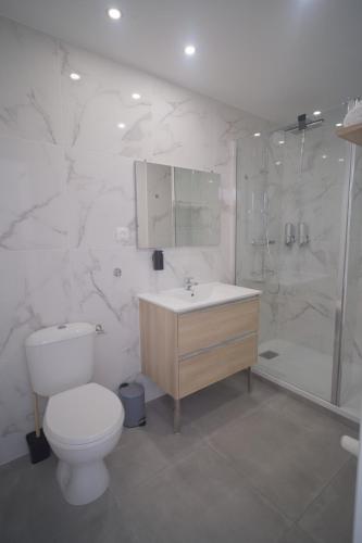 une salle de bain avec toilettes, douche et lavabo dans l'établissement cosy ,lumineux avec parking, à Villeurbanne
