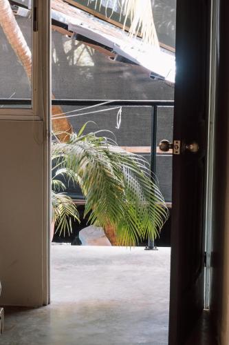 an open door with a plant in a window at ESO Santa Teresa in Santa Teresa Beach