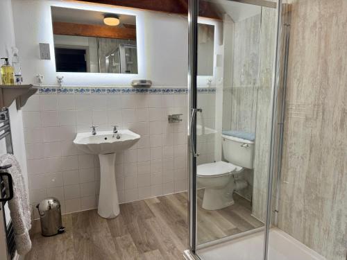 a bathroom with a toilet and a sink and a shower at Stable Cottage in Newport Pembrokeshire