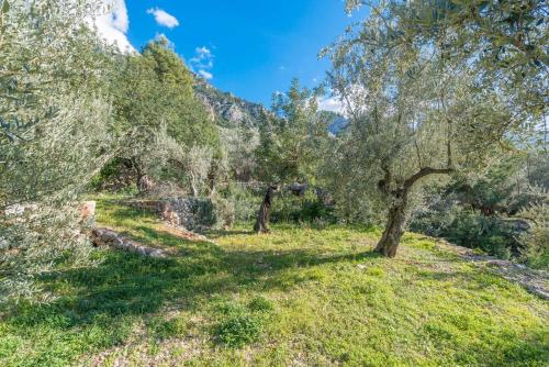Κήπος έξω από το S'Olivaret