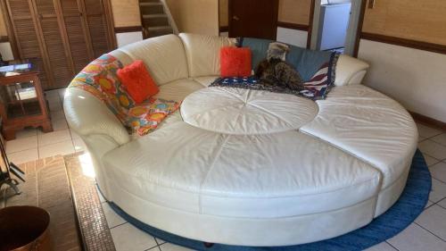 a white couch with a cat sitting on top of it at Theater, heated pool and hot tub near HPU and Furniture Market in Jamestown