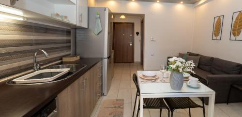 Xenia_Apartments A6にあるキッチンまたは簡易キッチン