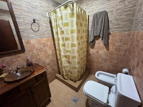 a bathroom with a shower and a toilet and a sink at El chalet del valle in El Mollar