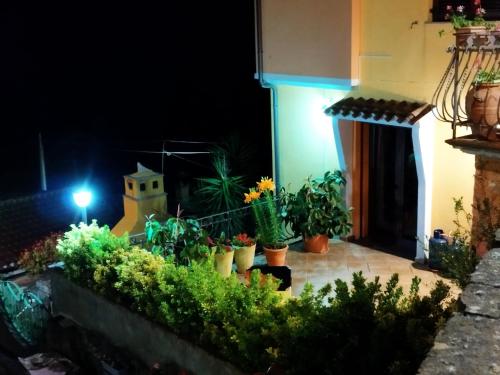 a garden at night with potted plants and a light at Appartamenti La Collina in Jerzu