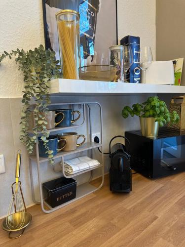 ein Regal mit einer Pflanze und anderen Gegenständen darauf in der Unterkunft Premium-Apartment im Duisburger Süden, nähe Düsseldorf Flughafen & Messe, Komplett ausgestattetes Apartment mit modernen Altbau-Flair in Duisburg