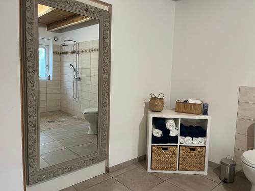 La salle de bains est pourvue d'un miroir, de toilettes et d'une douche. dans l'établissement La maison de la Terre d Opale, à Saint-Inglevert