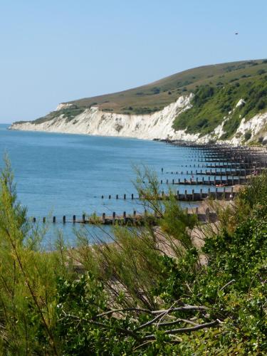 a large body of water with a bunch of birds at The Iverna in Eastbourne