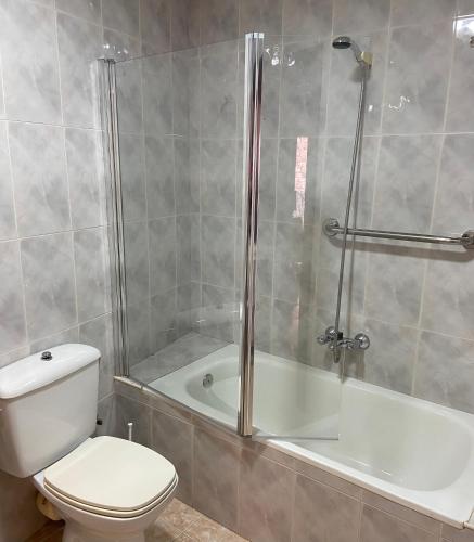 a bathroom with a shower and a toilet and a tub at Apartamento Cholo I in Brañosera