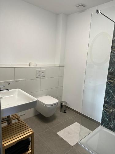 a bathroom with a toilet and a sink at Bei Haags in Gommersheim