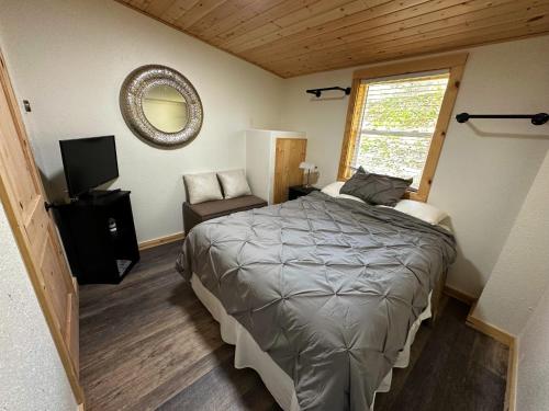 een slaapkamer met een groot bed en een spiegel bij Cozy Cabin on Hiking Trailhead & Elk Preserve in Garden Valley