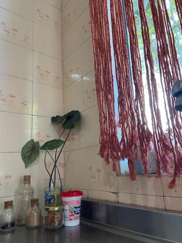 Galería fotográfica de Casa Dê - Hostel en Itapema