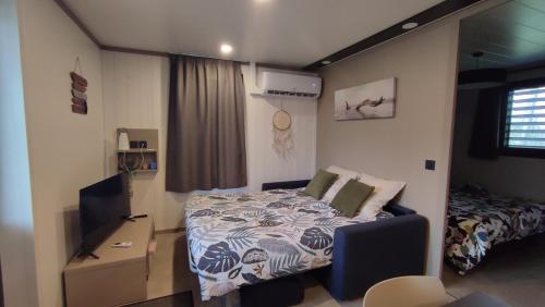 TV a/nebo společenská místnost v ubytování Lac du Der Chalet neuf tout confort