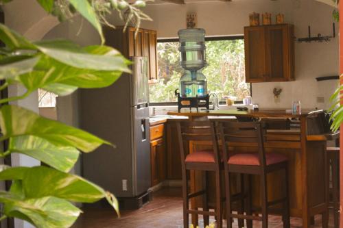 a kitchen with a stove and a island with bar stools at Casa Dardanelo in Granada
