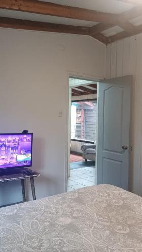a bedroom with a bed and a flat screen tv at Departamento 6 Ojo de Pez in Mehuín