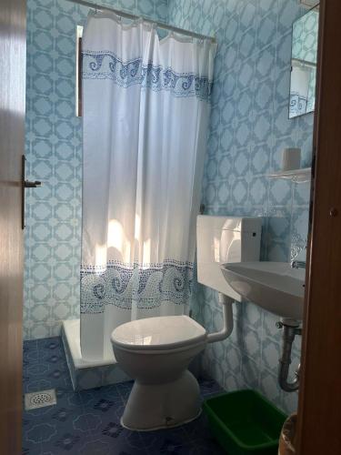 a bathroom with a toilet and a sink at Apartments Šimić in Zavala
