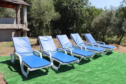 Κήπος έξω από το Lorelei Farm 6