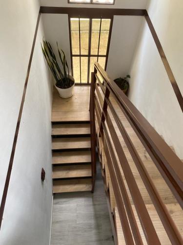 a staircase in a house with a potted plant at Casa Bella Campestre in Guayabal de Síquima