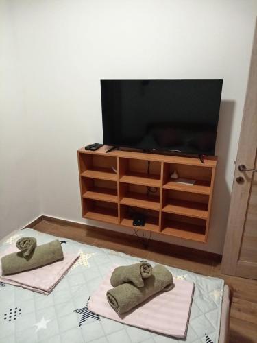 TV a/nebo společenská místnost v ubytování La Casa Sofija