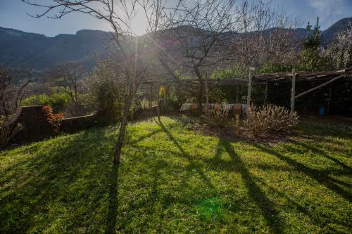 a shadow of a tree in a yard at Villa Maddalena in Scala