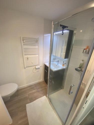 une salle de bain avec une douche avec des toilettes et un lavabo dans l'établissement La Casita 46, à Saint-Hilaire-de-Riez