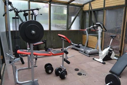 a gym with several exercise equipment in a building at Gartentraum Ferienwohnung in Pünderich