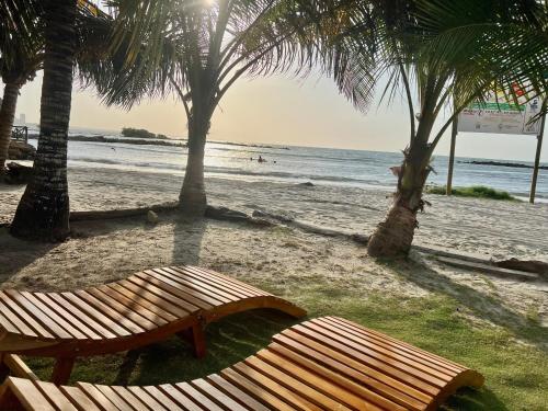 two wooden benches sitting on a beach with palm trees at Loft 39 Casa de playa in Coveñas