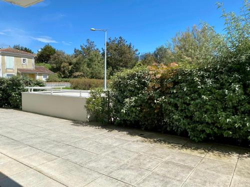 une haie de fleurs blanches à côté d'un trottoir dans l'établissement Joli appartement proche mer, à Saint-Gilles-Croix-de-Vie