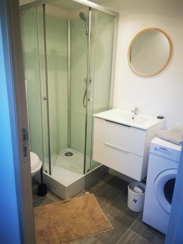une salle de bain avec une douche, des toilettes et un lavabo dans l'établissement Studio Cournonterral 4 couchages, à Cournonterral
