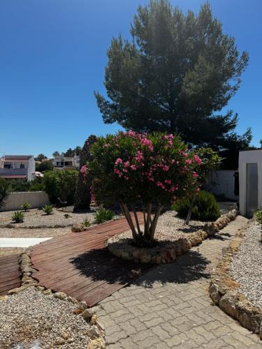 a tree with pink flowers in a walkway at Vila Horizonte in Carvoeiro