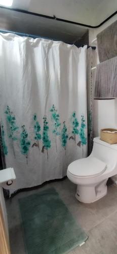 a bathroom with a toilet and a shower curtain at Casa cuatro in Oaxaca City