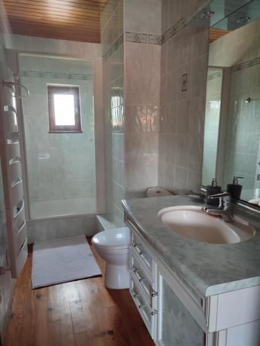 une salle de bain avec un lavabo, des toilettes et un miroir dans l'établissement La Méziou du Bois Joli, à Orcines