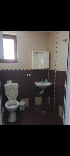 a bathroom with a toilet and a sink at Apartament Magi in Sozopol
