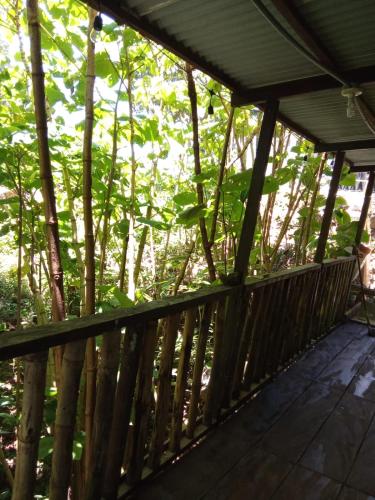a wooden porch with trees in the background at Colors Hostal in Boquete