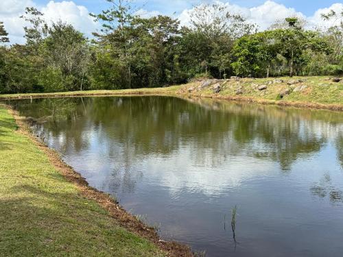 a body of water with trees in the background at Cabaña del Lago in Marsella