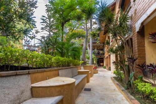 a courtyard with benches and trees in a building at Casa de Adobe Gallery & Luxury Boutique in Oaxaca City