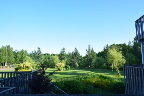 a view of a park with trees in the background at Auberge Wild Rose Inn in Moncton