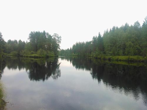 a river with trees reflecting in the water at Hotelli Möhkön Rajakartano - Ilomantsi in Petkeljärvi