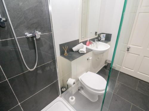 ein Badezimmer mit Dusche, Toilette und Waschbecken in der Unterkunft No 1 The Hinges in Newquay
