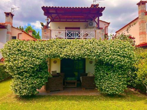 Little paradise by the sea